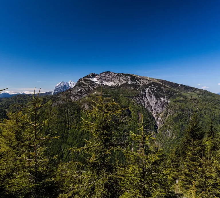 Unterberghorn im Kaiserwinkl im Frühling